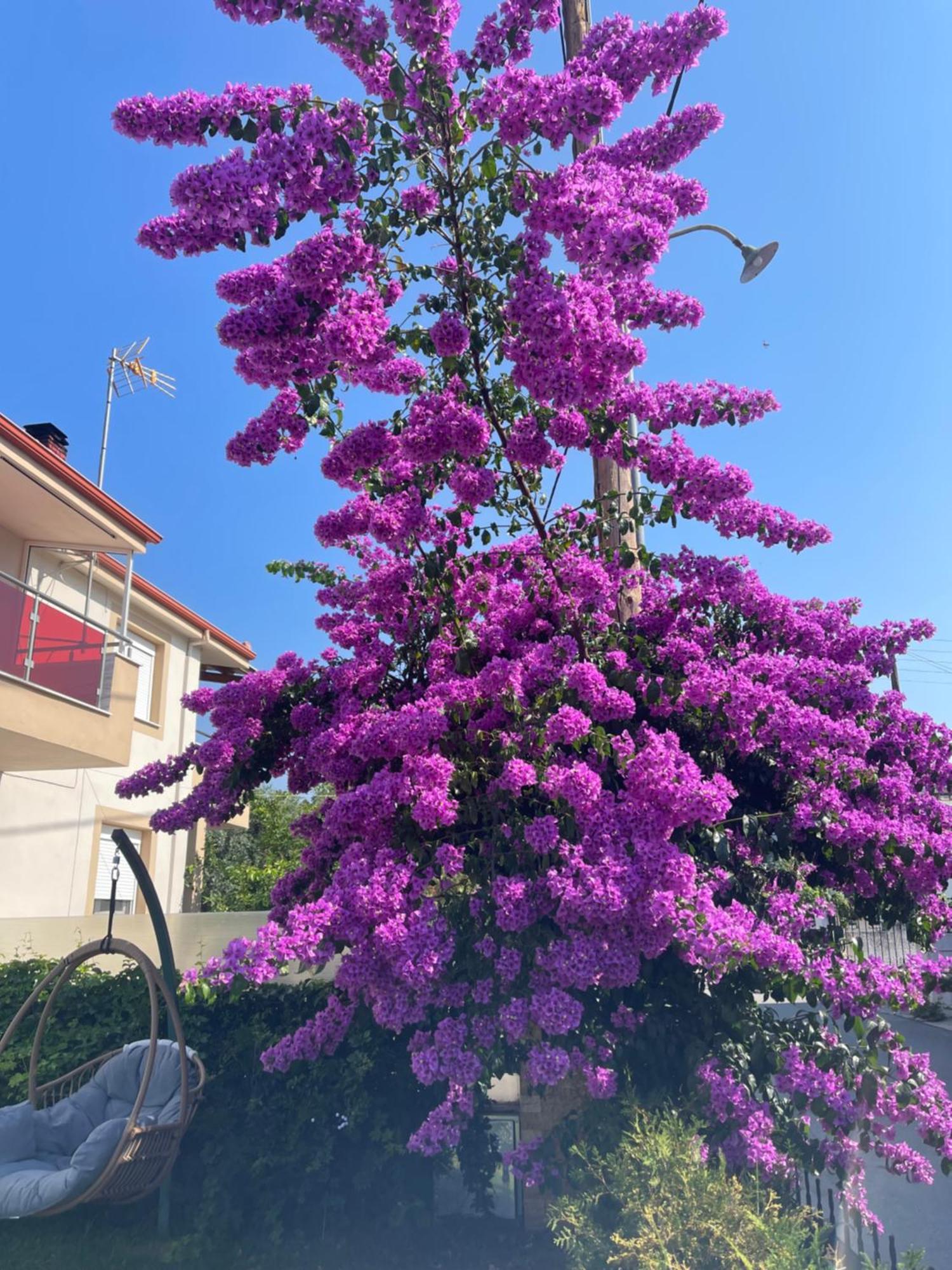 Jasmine Studios Ποτός Εξωτερικό φωτογραφία